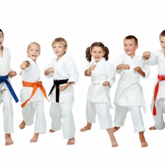 Row of children in a martial arts pose