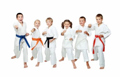 Row of children in a martial arts pose