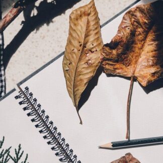 Leaves, twigs and a pencil laying upon a sketchbook.