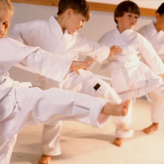Children in a line doing a martial arts kick.