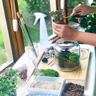 Hands using supplies to build a terrarium with plants