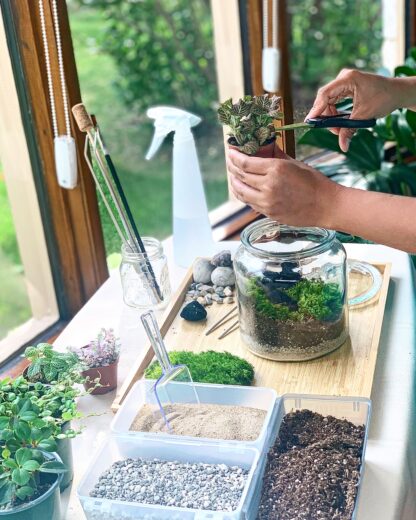 Hands using supplies to build a terrarium with plants