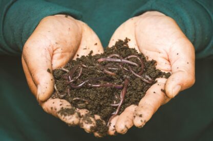 NEW! Vermicomposting with Green Action Centre - Thursday, May 8, 2025 - College Miles Macdonell