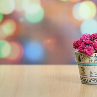 painted flower pot with pink flowers